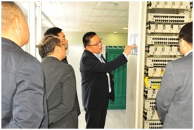 3331627611233775.jpg 1c93e4b2-28fe-4e99-94c7-0ec5ff4ad38f.jpg